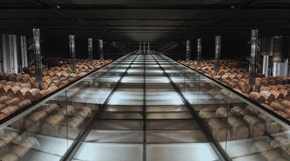 Barrel room at Chateau Cos d'Estournel