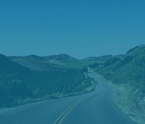 Open road with vineyard beside it