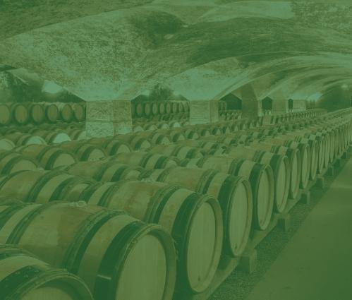 Barrels in a Bordeaux cellar