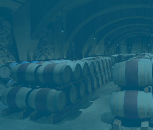 Bordeaux wine barrels in a cellar