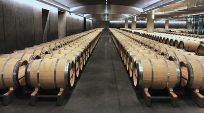 Barrel room at Chateau Lynch-Bages