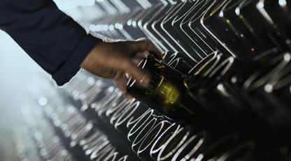 Worker riddling bottles of Champagne