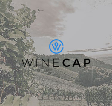 winecap-investment