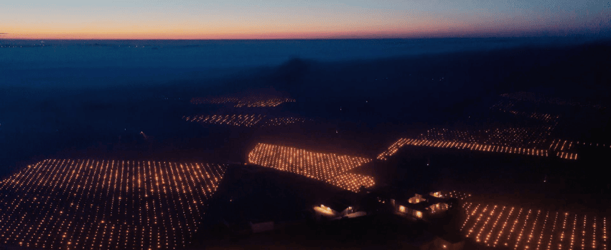 Aerial shot showing burners in Bordeaux vineyards