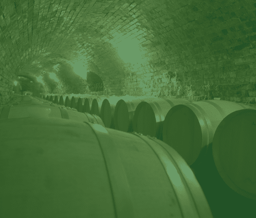 Wine barrels in cellar