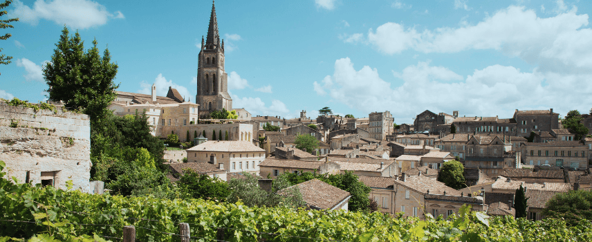 Saint-Emilion church and vineyard