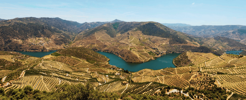 Panorama of the sunny Douro valley