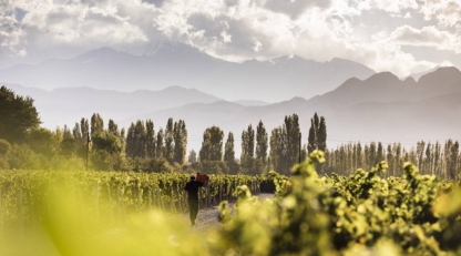 Terrazas de Los Andes