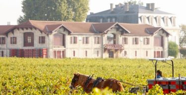 Sustainability at Pontet Canet