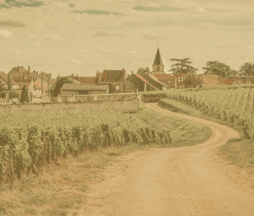 Burgundy history