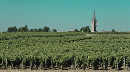 Chateau L'Eglise-Clinet vineyard