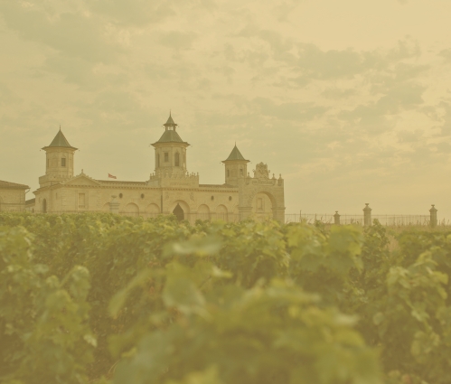 Bordeaux Chateau and vineyard