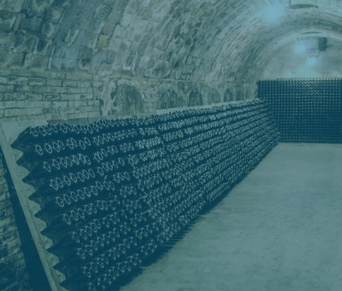 Champagne France wine cellar