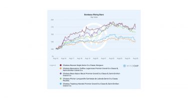 Bordeaux Fine Wine performance