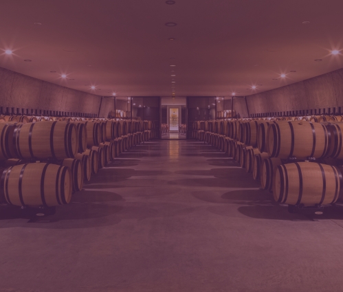 Q3 2025 Fine Wine Report