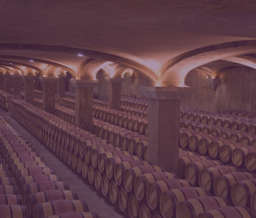 Chateau Margaux Bordeaux barrel room