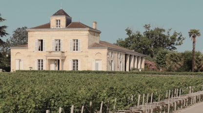 Chateau Montrose Bordeaux vineyard