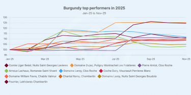 Burgundy top performing wines 2025