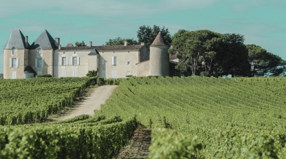 Chateau Yquem vineyard