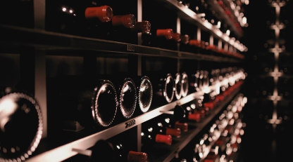 Red wine bottles layed in a cellar